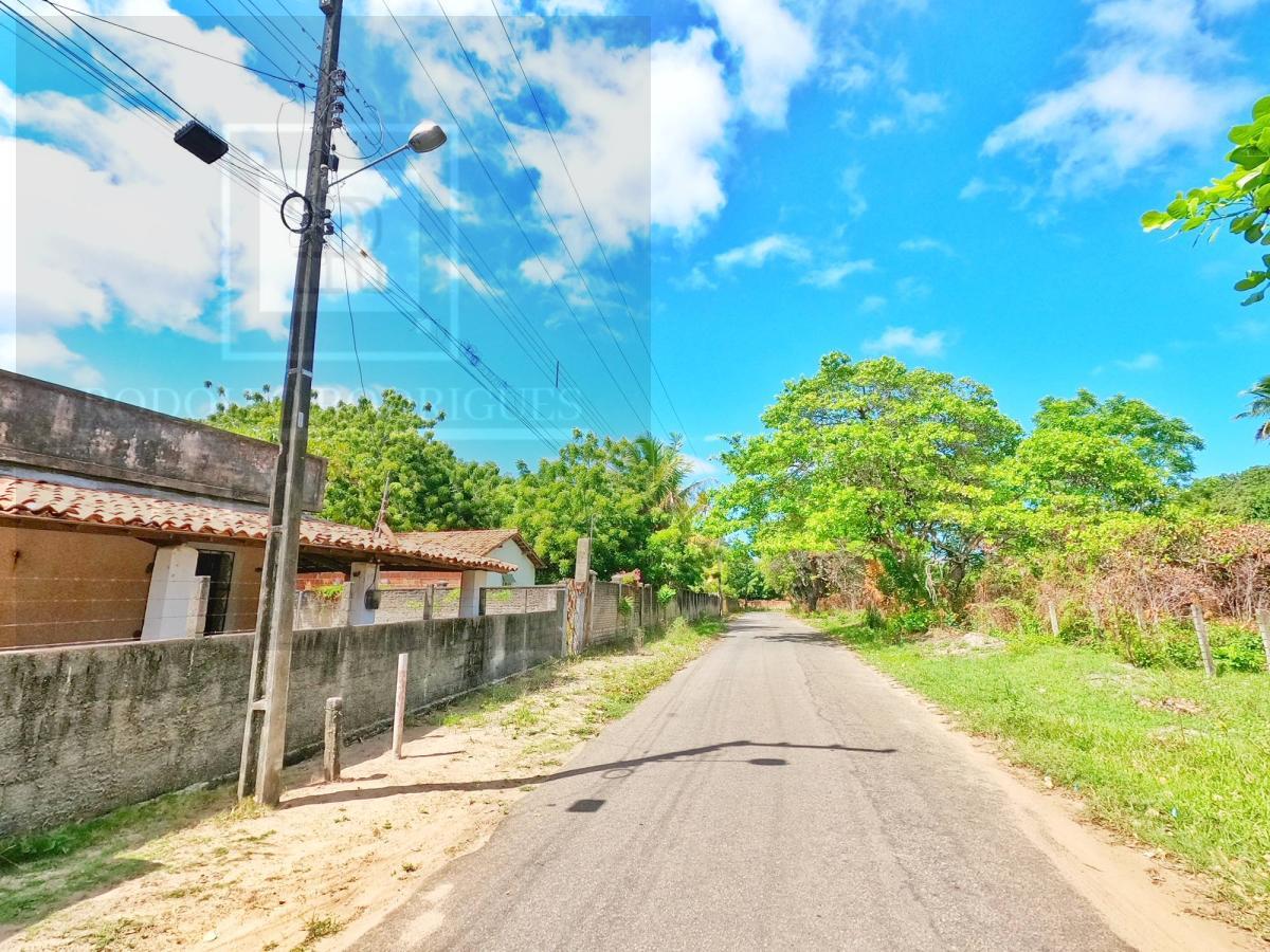 Terreno à venda com 2 quartos, 6525m² - Foto 6